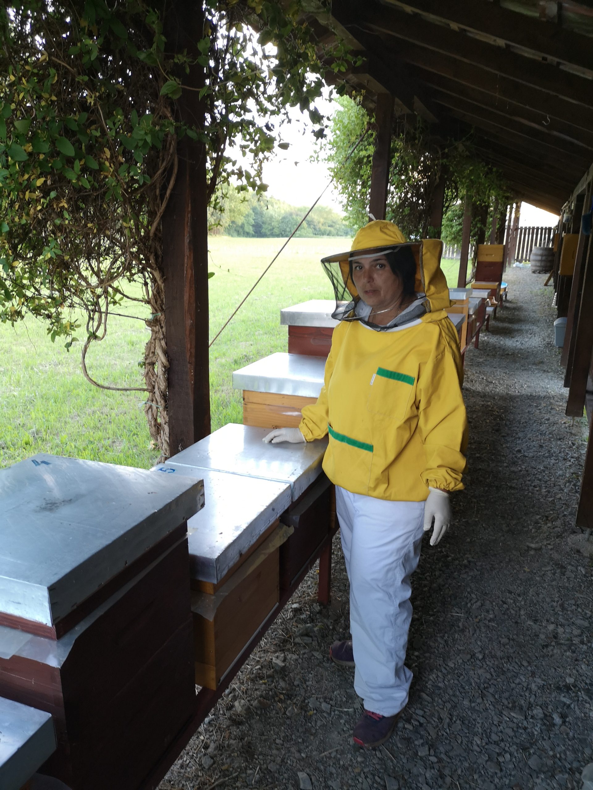 Apicoltura familiare Jelko in Slavonia – unione di tradizione e natura